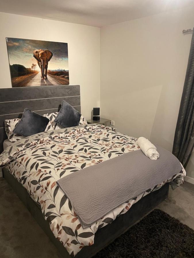 Fantastic Full 3 Bedroom Modern Apartment Belfast Eksteriør bilde